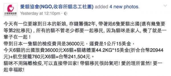 移民不離棄貓貓！待嫁新娘2年儲近6萬 為帶6隻愛貓一齊移民日本